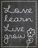 Love Learn Live Grow 2 Poster Print by Lauren Gibbons - Item # VARPDXGLRC005B1