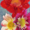 BLOOMS IN SPRING Poster Print by Taylor Greene - Item # VARPDXTGSQ207A