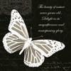 Beauty Butterfly Poster Print by Taylor Greene - Item # VARPDXTGSQ045B