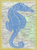 SEAHORSE Poster Print by Taylor Greene - Item # VARPDXTG5RC001A