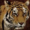 Tiger Poster Print by Jace Grey - Item # VARPDXJGSQ112B