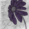 Paris plum Poster Print by Jace Grey - Item # VARPDXJGSQ059J4