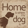 Dogs Home B Poster Print by Lauren Gibbons - Item # VARPDXGLSQ121B2