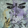 Dragonfly Florals Poster Print by Jace Grey # JGSQ192A