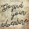 Go Find Your Adventure Poster Print by Jace Grey - Item # VARPDXJGSQ600B