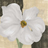 WHITE FLORAL I Poster Print by Taylor Greene - Item # VARPDXTGSQ272A