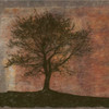 TREE HORIZON Poster Print by Taylor Greene - Item # VARPDXTGSQ234B