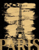 Paris Paint Black Poster Print by Lauren Gibbons - Item # VARPDXGLRC111A2