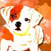 Dog in Color 2 Poster Print by  Kimberly Allen - Item # VARPDXKASQ039B
