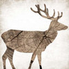 Brown Wood Deer Poster Print by  Jace Grey - Item # VARPDXJGSQ583C2