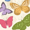 Colorful Butterflies 2 Poster Print by Jace Grey # JGSQ142B