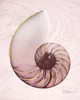 Marble Blush Snail 1 Poster Print by Albert Koetsier