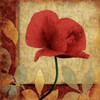 Poppies Patch Mate Bright Poster Print by Jace Grey - Item # VARPDXJGSQ210B2