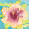 Sunset Hibiscus I Poster Print by Beverly Dyer