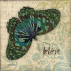 Peacock Bfly 2 Poster Print by Diane Stimson - Item # VARPDXDSSQ268B