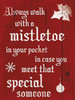 Mistletoe Poster Print by Jace Grey - Item # VARPDXJG9RC018B