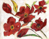 Red Flora Poster Print by Smith Haynes - Item # VARPDXSHRC106C