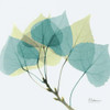 Aspen E143 Poster Print by Albert Koetsier # AKXSQ372B