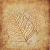 Gold Leaves I Poster Print by Kristin Emery # KEXSQ025J