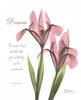 Pink Iris - Dream Poster Print by Albert Koetsier - Item # VARPDXAKRC105A