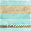 Serenity Poster Print by Jace Grey - Item # VARPDXJGSQ355B