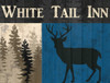 White Tail Inn Poster Print by Kimberly Allen # KARC046A