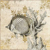 Marine Life 1 Poster Print by Kimberly Allen # KASQ012A