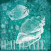 Shell Bubbles I in Teal Poster Print by Jace Grey # JGSQ180A