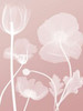 Pink Flora 3 Poster Print by Albert Koetsier - Item # VARPDXAK5RC108C2