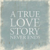 True Love Poster Print by Jace Grey - Item # VARPDXJGSQ374A