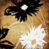 Gold Florals 2 Reverse Poster Print by Jace Grey - Item # VARPDXJGSQ167B2