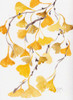 Golden Gingko A Poster Print by Beverly Dyer # BDRC149A