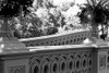 Central Park Bridge Poster Print by Jace Grey # JPIRC013B