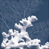 Sea Coral 1 Poster Print by  Lauren Gibbons - Item # VARPDXGLSQ184A