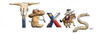 Texas Illustration Poster Print by Diane Stimson - Item # VARPDXDSPL239A