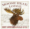 Moose Lodge Poster Print by Candace Allen # QCASQ034C