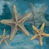 Starfish Poster Print by Jace Grey