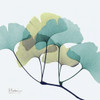 Gingko L140 Poster Print by Albert Koetsier # AKXSQ372C
