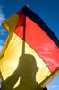 German Air Force Airman holds the German flag Poster Print by Stocktrek Images - Item # VARPSTSTK102652M