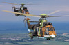 Eurocopter AS532 Cougar helicopters in flight over Bulgaria Poster Print by Anton Balakchiev/Stocktrek Images - Item # VARPSTABA100017M