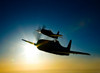 Silhouette of two Grumman F8F Bearcats in flight Poster Print by Scott Germain/Stocktrek Images - Item # VARPSTSGR100079M