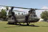 US Army CH-47 Chinook helicopter in Afghanistan Poster Print by VWPics/Stocktrek Images - Item # VARPSTVWP100110M