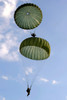 US Army Soldiers parachute down after jumping from a C-130 Hercules Poster Print by Stocktrek Images - Item # VARPSTSTK103899M