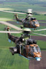 Pair of Bulgarian Air Force Eurocopter AS532 AL Cougar helicopters Poster Print by Anton Balakchiev/Stocktrek Images - Item # VARPSTABA100022M