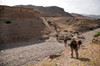 US Marines patrol through a village in Afghanistan Poster Print by Stocktrek Images - Item # VARPSTSTK107902M