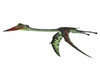 Quetzalcoatlus reptile flying, white background Poster Print by Corey Ford/Stocktrek Images - Item # VARPSTCFR200926P