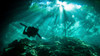 Diver passes through light beams in Chac Mool cenote in Mexico Poster Print by Karen Doody/Stocktrek Images - Item # VARPSTKWD400134U