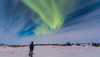 Aurora borealis under bright moonlight in Churchill, Manitoba, Canada Poster Print by Alan Dyer/Stocktrek Images - Item # VARPSTADY200205S