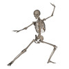 Front view of human skeleton in fighting stance Poster Print by Elena Duvernay/Stocktrek Images - Item # VARPSTEDV700050H