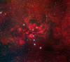 NGC 6357, the Lobster Nebula in Scorpius Poster Print by Roberto Colombari/Stocktrek Images - Item # VARPSTRCM200052S